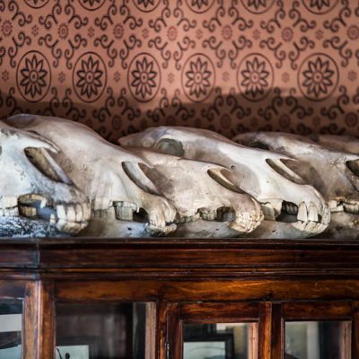 Jacks museum
