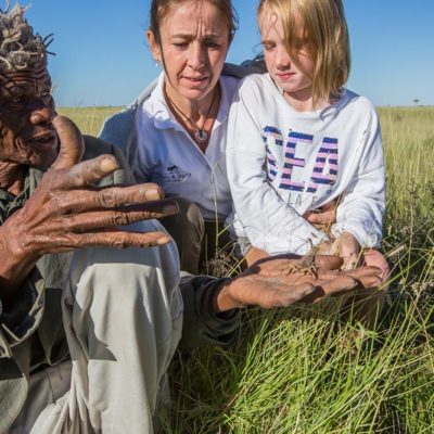 bushmen activity