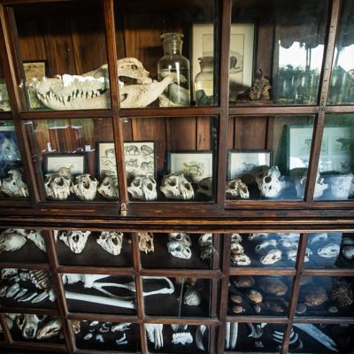 museum
