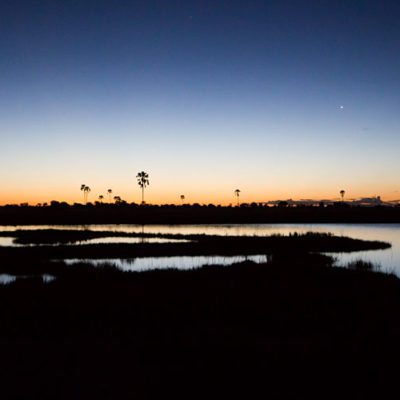 pand at night