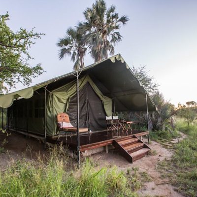 tent