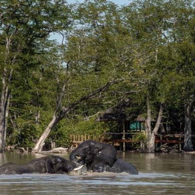 10Hyena Pan - Pan View (Wet Season)