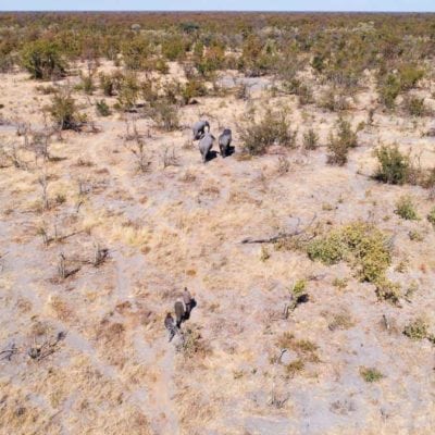 14Hyena Pan - Activities - Walking safari from above