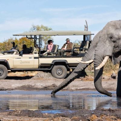 16Hyena Pan - Activities - Game drive & ellies
