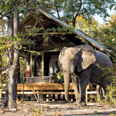 2Hyena Pan - Accommodation - Bedroom & ellies outside