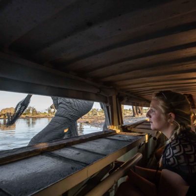 Sunken hide at Hyena pan and Skybeds