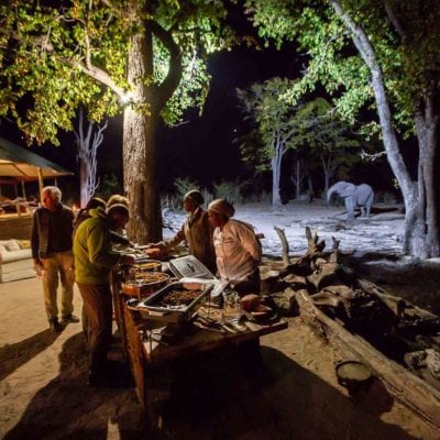 Hyena pan dining with ele (1 of 1)