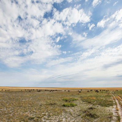 3M9A6600