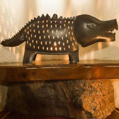 Nxamaseri croc