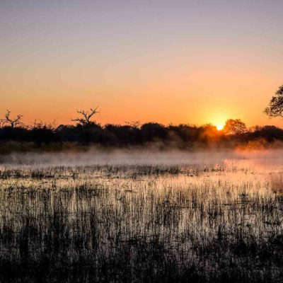 Africa; Botswana; Okavango Delta; Sanctuary Chief's Camp