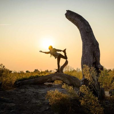 Africa; Botswana; Okavango Delta; Sanctuary Chief's Camp