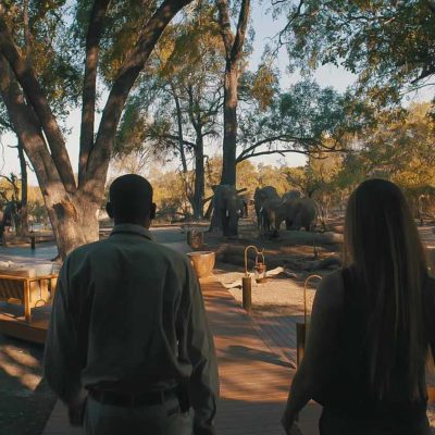 Africa; Botswana; Okavango Delta; Sanctuary Chief's Camp
