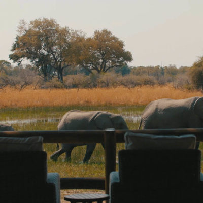 Africa; Botswana; Okavango Delta; Sanctuary Chief's Camp