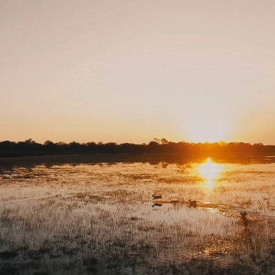 Africa; Botswana; Okavango Delta; Sanctuary Chief's Camp