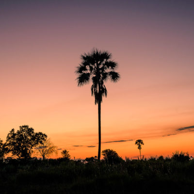 Africa, Botswana, Sanctuary Stanley's Camp