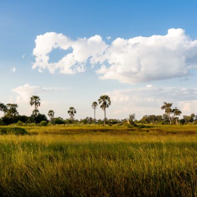 Africa, Botswana, Sanctuary Stanley's Camp