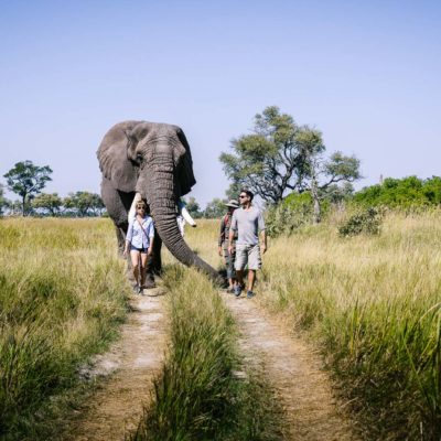 Africa, Botswana, Sanctuary Stanley's Camp