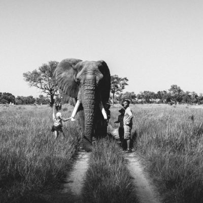 Africa, Botswana, Sanctuary Stanley's Camp