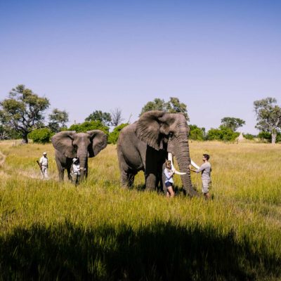 Africa, Botswana, Sanctuary Stanley's Camp