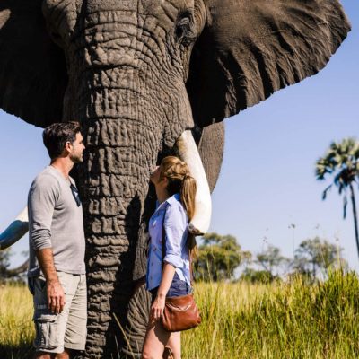Africa, Botswana, Sanctuary Stanley's Camp