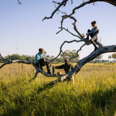 Africa, Botswana, Sanctuary Stanley's Camp