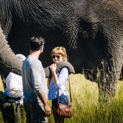 Africa, Botswana, Sanctuary Stanley's Camp