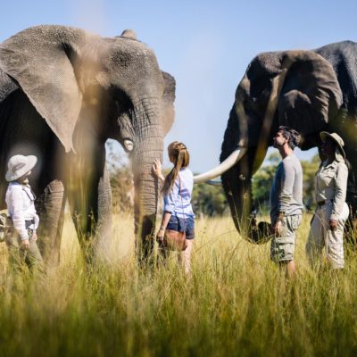 Africa, Botswana, Sanctuary Stanley's Camp