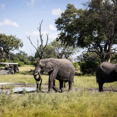 Vumbura, Wilderness Safari Camp, Okavango Delta, Botswana