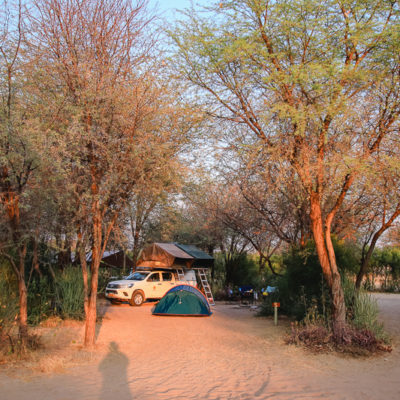 brc21